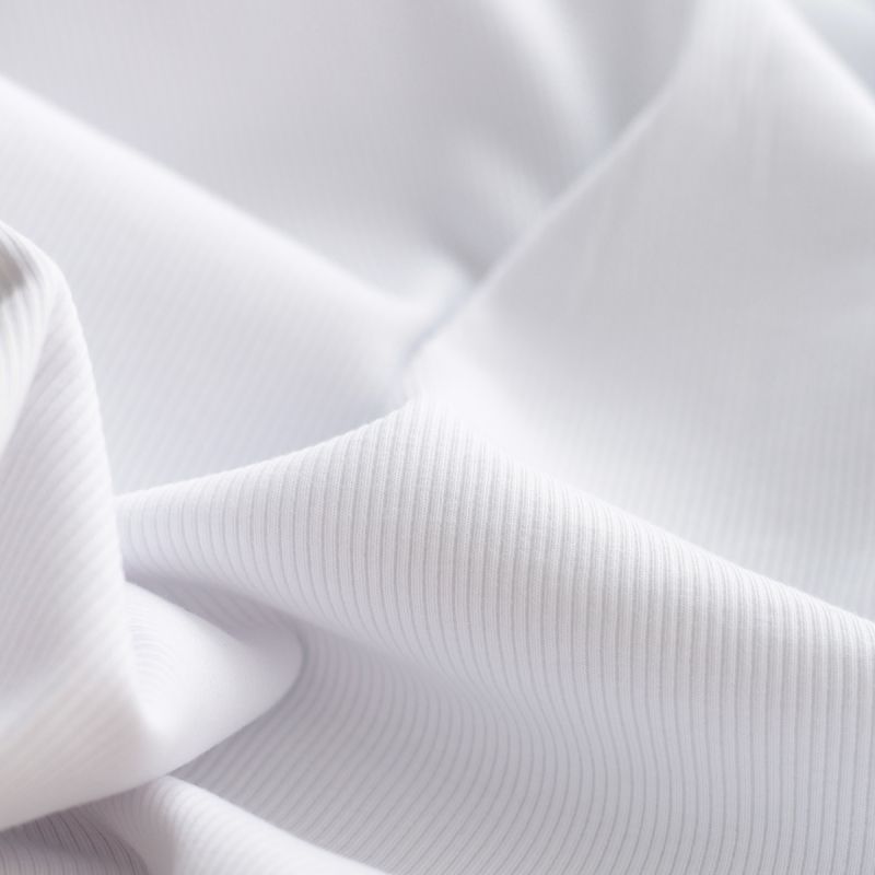 Jersey coton côtes fines coloris blanc