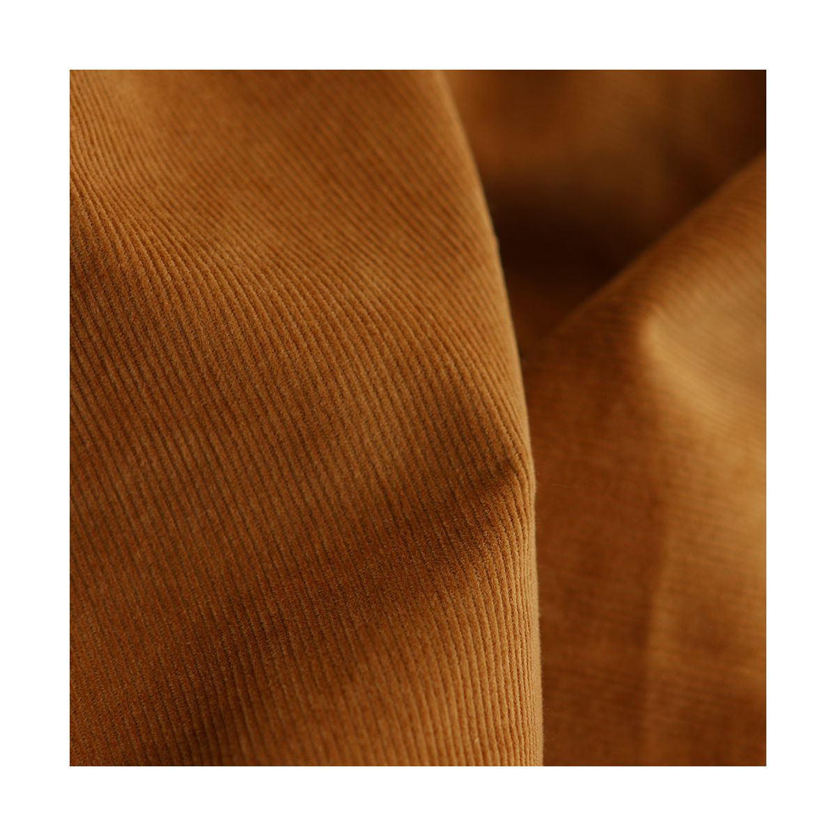 Velours milleraies coton organique coloris ambre