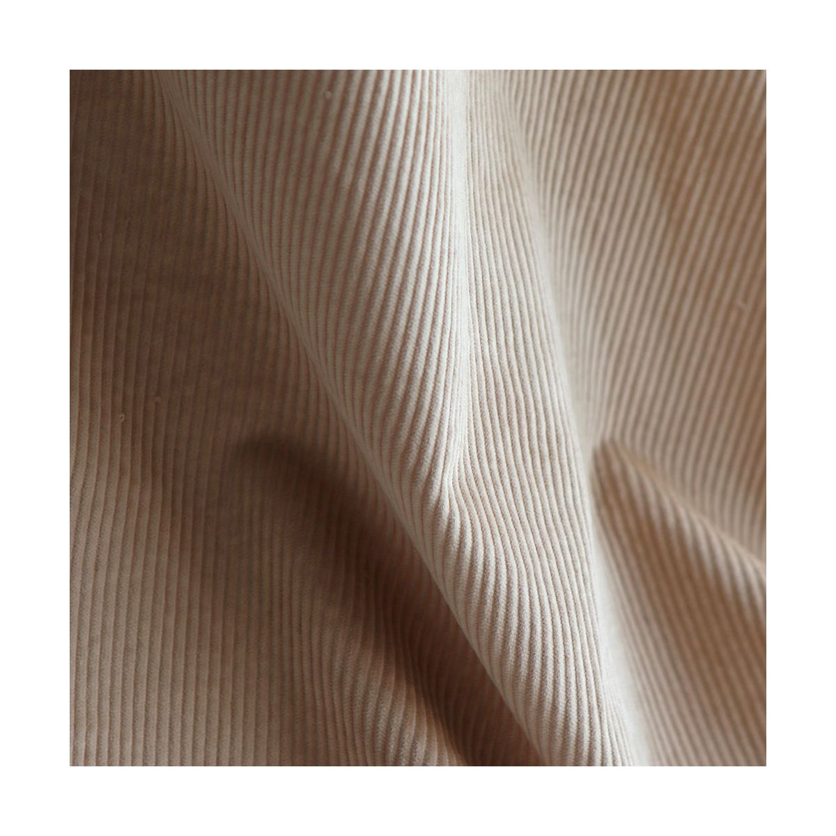 Velours à côtes coton organique coloris crème