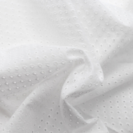 Broderie anglaise coton coloris BLANC