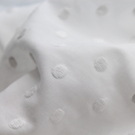 Broderie anglaise coton coloris BLANC