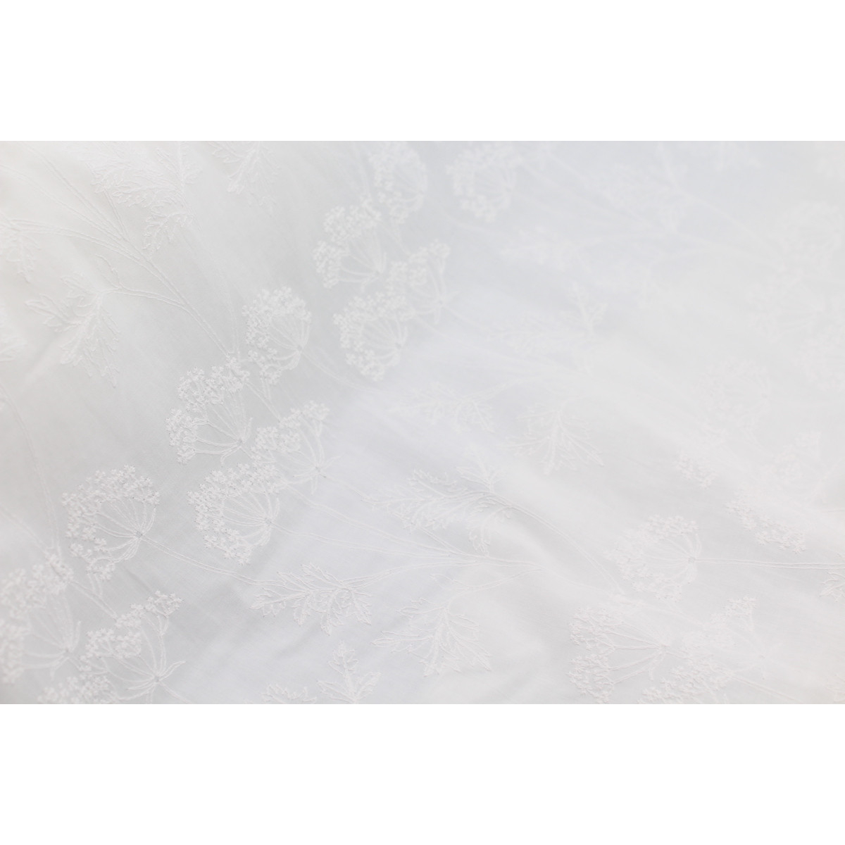 Broderie anglaise coton coloris BLANC Broderie anglaise coton coloris BLANC