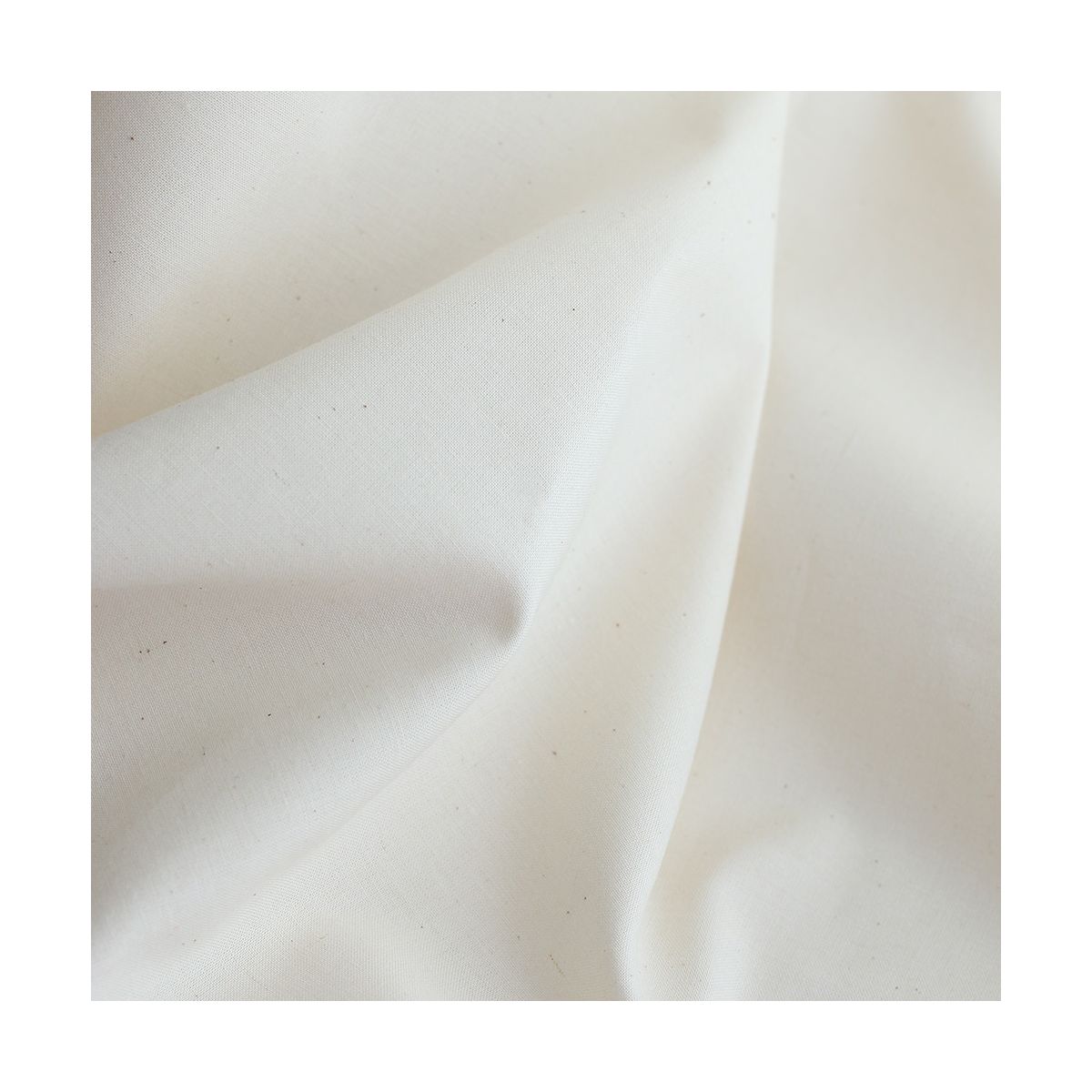 Popeline coton douce qualité SWEET coloris uni vanille