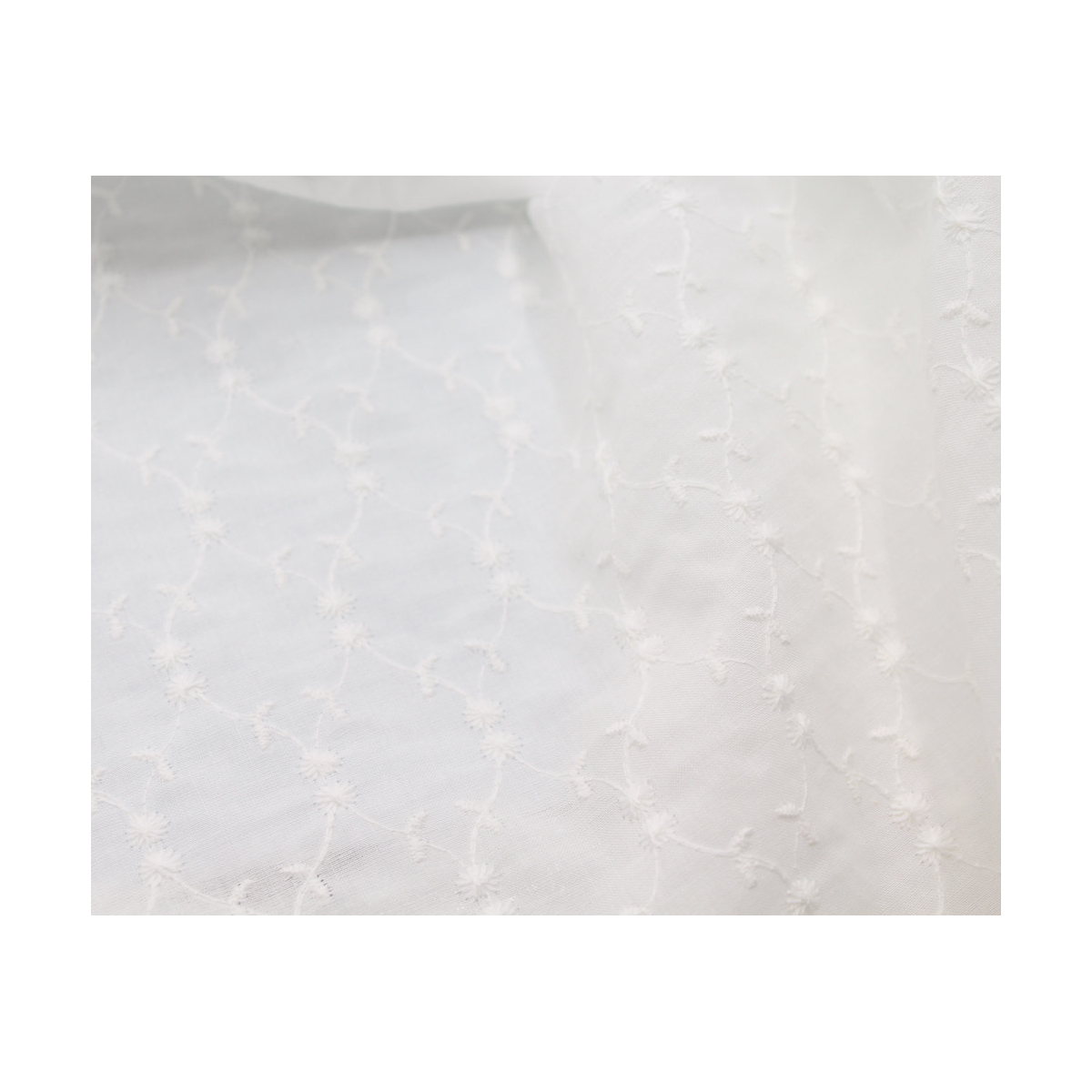 Broderie anglaise coton coloris ivoire Broderie anglaise coton coloris ivoire