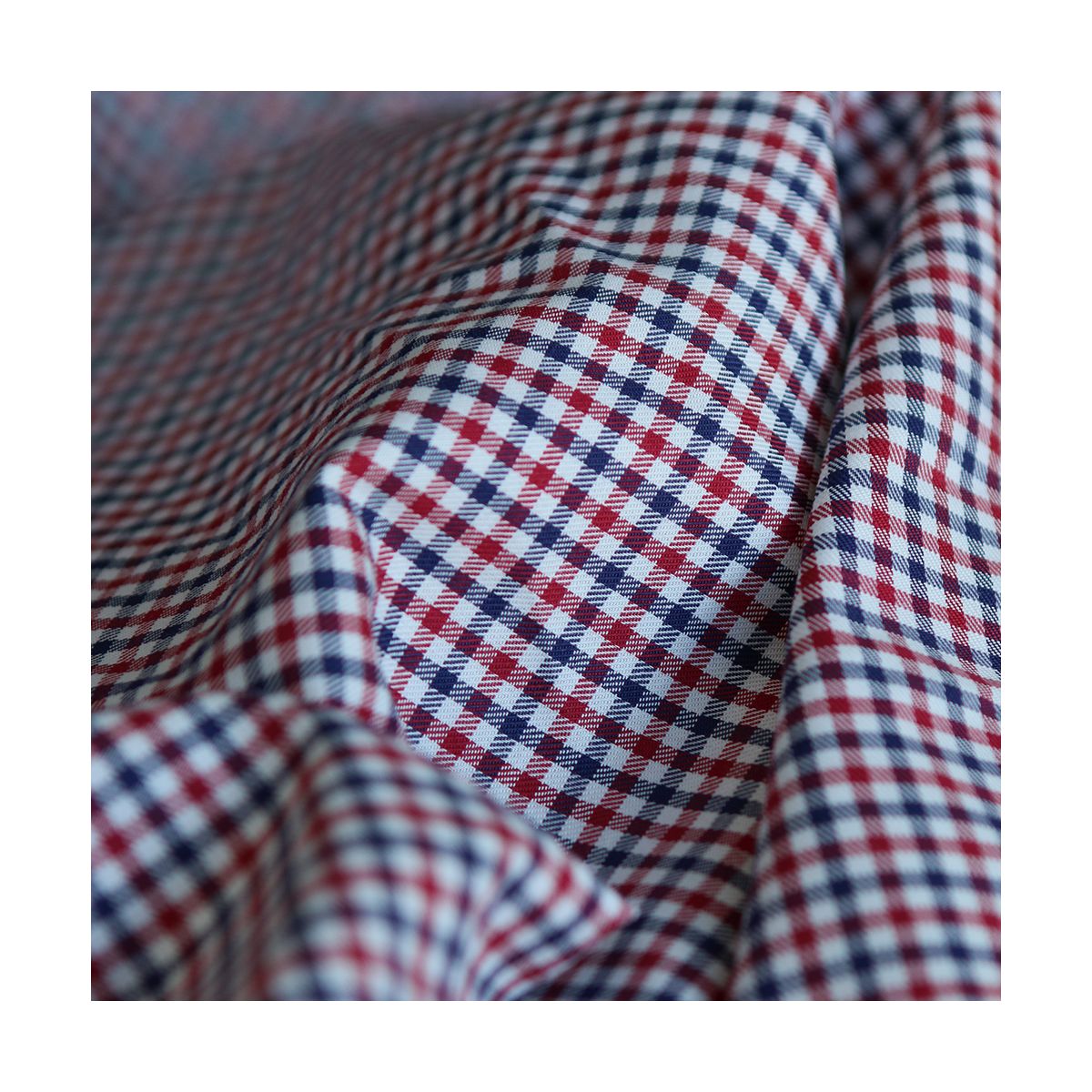 Archie - Coton gratté organique petit vichy rouge et bleu Archie - Coton gratté organique petit vichy rouge et bleu