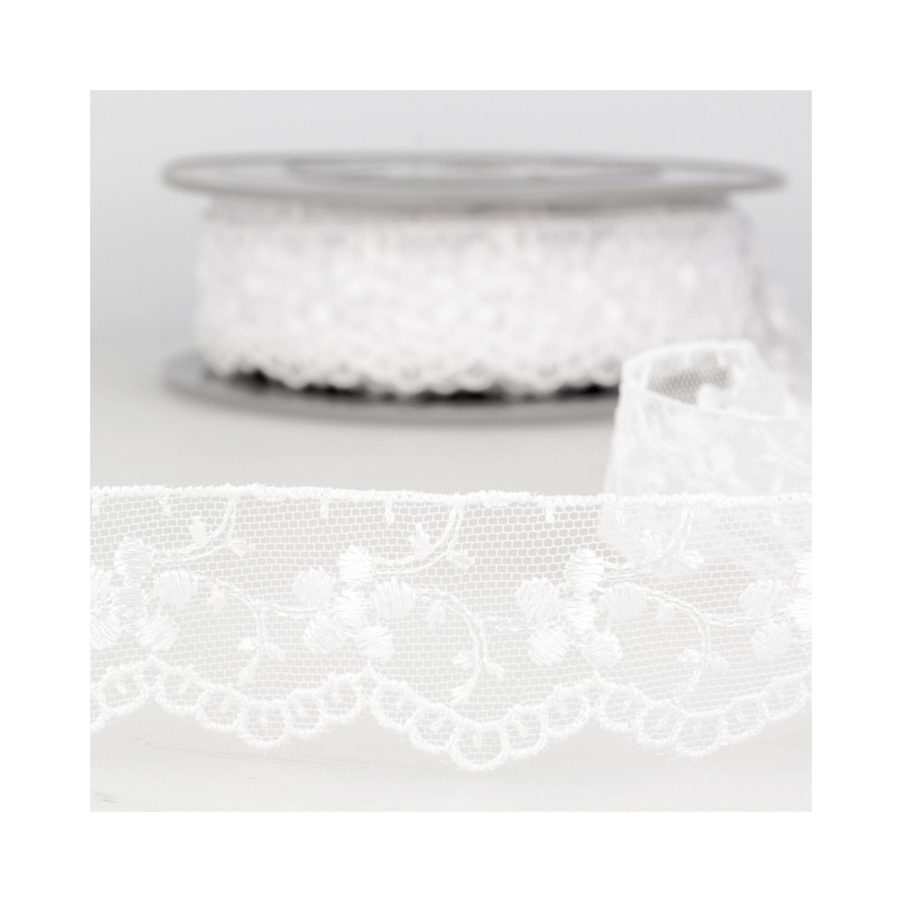 Galon dentelle tulle brodé 35mm x 1m blanc