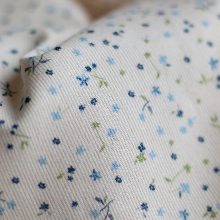 Leo - Velours milleraies coton organique imprimé bleu