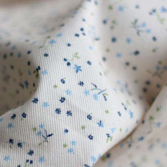 Leo - Velours milleraies coton organique imprimé bleu