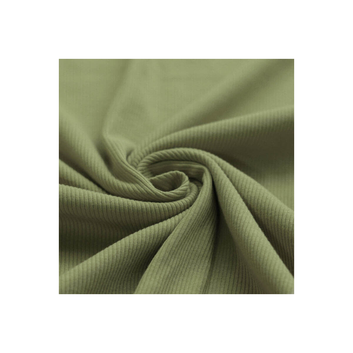 Jersey coton côtes fines coloris vert olive Jersey coton côtes fines coloris vert olive